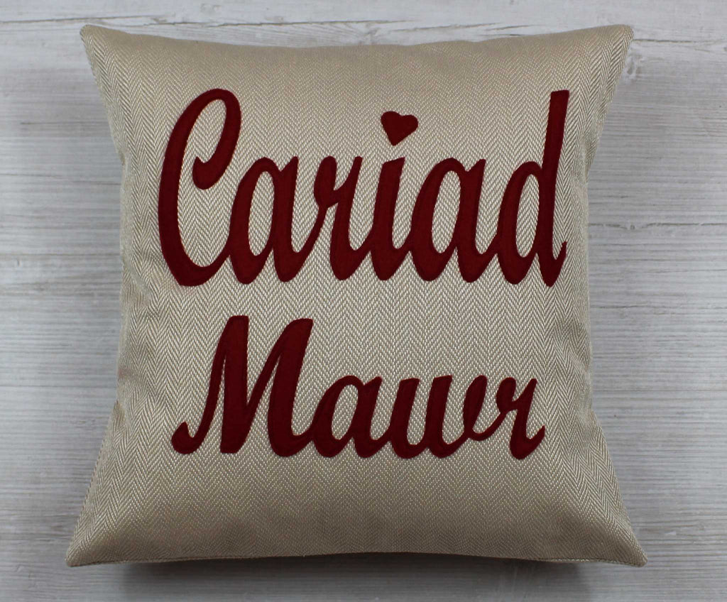 Cariad Mawr Cushion / Big Love Cushion