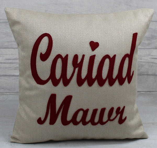 Cariad Mawr Cushion / Big Love Cushion