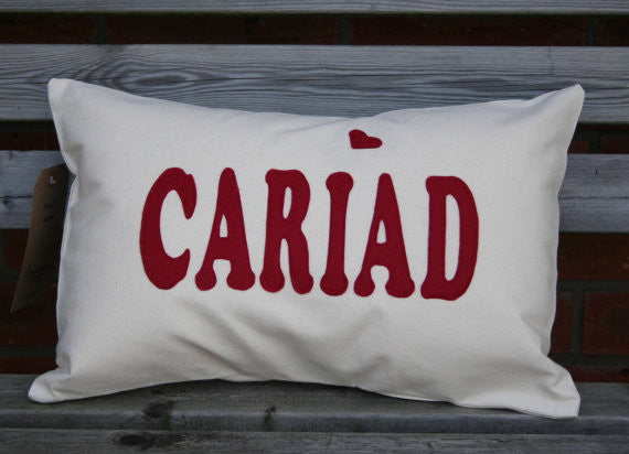 Cariad Cushion / Love Cushion
