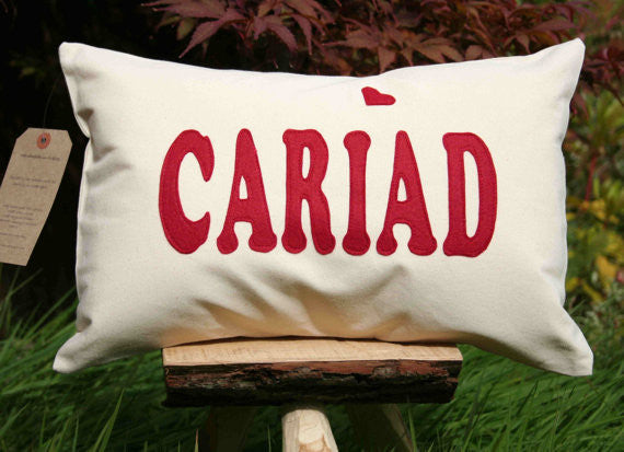 Cariad Cushion / Love Cushion